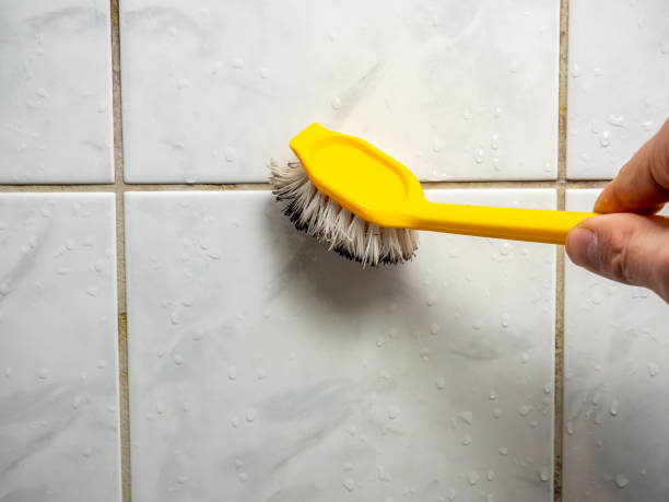 Best Residential Mold Remediation in Golf Manor, OH